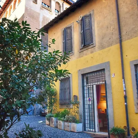 Cedro * Roma